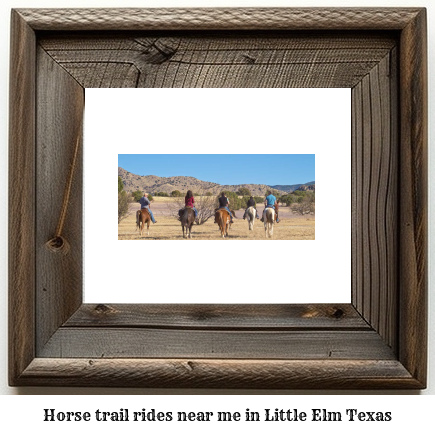 horse trail rides near me in Little Elm, Texas